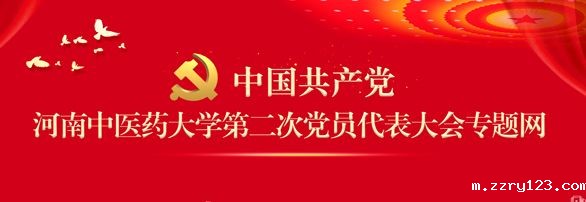 星空平台官网莱切战略伙伴第二次党员代表大会专题网